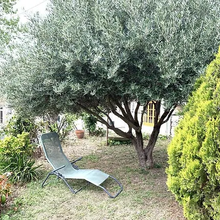 La Muscadelle : Le Calme Du Sud De La France Villa Marseillette